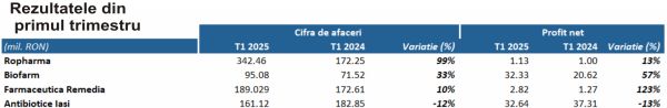 TradeVille: Sectorul farmaceutic - evoluţii financiare în creştere majoră